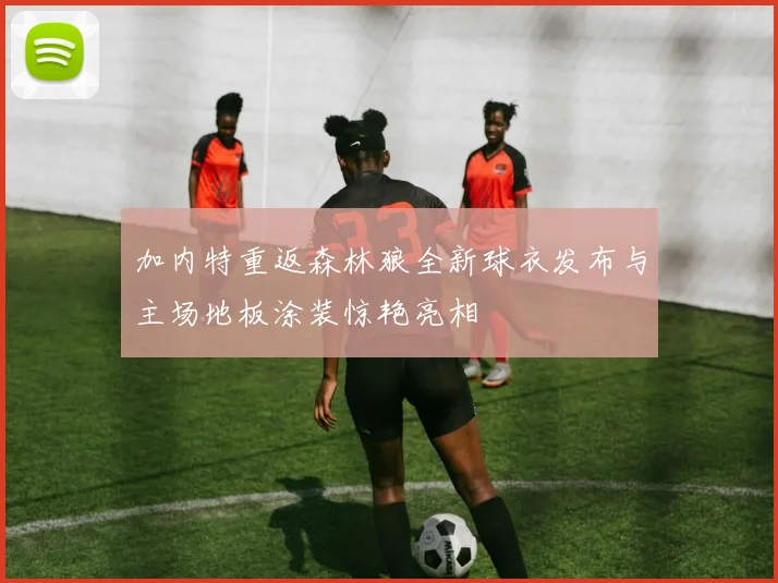 加内特重返森林狼全新球衣发布与主场地板涂装惊艳亮相